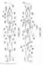 Fig. 45 - Clot retrieval system