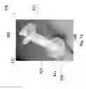 Fig. 08 - Surgical cannula and methods of use