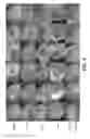 Fig. 09 - Nanoelectroablation control and vaccination