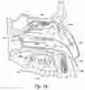 Fig. 05 - Devices for therapeutic nasal neuromodulation and associated methods and systems