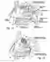 Fig. 02 - Devices for Therapeutic Nasal Neuromodulation and Associated Methods and Systems