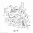 Fig. 08 - Devices for Therapeutic Nasal Neuromodulation and Associated Methods and Systems