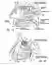 Fig. 02 - Devices for Therapeutic Nasal Neuromodulation and Associated Methods and Systems