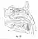 Fig. 06 - Devices for Therapeutic Nasal Neuromodulation and Associated Methods and Systems