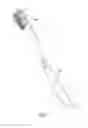 Fig. 02 - Oral care device