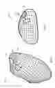 Fig. 02 - Methods, devices, and systems for obesity treatment