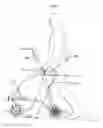 Fig. 07 - Rollator