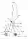 Fig. 08 - Rollator