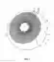 Fig. 02 - Skincare devices and methods of use