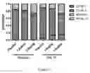 Fig. 07 - Extended release of neuregulin for treating heart failure