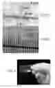 Fig. 05 - Polymeric compositions containing ambient-temperature stable biopharmaceuticals and methods for formulation thereof
