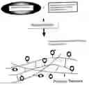 Fig. 01 - Antimicrobial polymer for use in ophthalmic implants