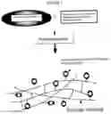 Fig. 02 - Antimicrobial polymer for use in ophthalmic implants