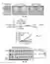 Fig. 08 - FORMULATIONS AND METHODS FOR THE TREATMENT OF CANCERS