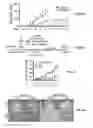 Fig. 09 - FORMULATIONS AND METHODS FOR THE TREATMENT OF CANCERS