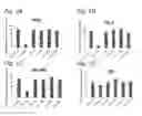 Fig. 02 - T Cell Modulator