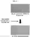 Fig. 02 - Composition containing endometrial decidual cells for treating damage to the endometrium or enhancing implantation functions