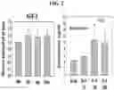 Fig. 03 - Composition containing endometrial decidual cells for treating damage to the endometrium or enhancing implantation functions