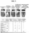 Fig. 06 - Composition containing endometrial decidual cells for treating damage to the endometrium or enhancing implantation functions
