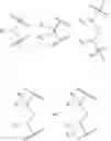 Fig. 02 - Nanocomplexes for delivery of saporin