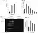 Fig. 02 - Method and system for inactivating virus infectivity for producing live-attenuated vaccines