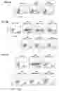 Fig. 03 - Method and system for inactivating virus infectivity for producing live-attenuated vaccines