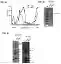 Fig. 04 - Method and system for inactivating virus infectivity for producing live-attenuated vaccines