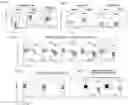 Fig. 08 - Method and system for inactivating virus infectivity for producing live-attenuated vaccines