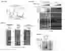 Fig. 18 - Method and system for inactivating virus infectivity for producing live-attenuated vaccines