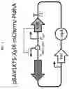 Fig. 02 - Selectively altering microbiota for immune modulation