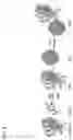 Fig. 07 - Metal oxide nanoparticle for cell lysis