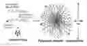 Fig. 01 - Pharmaceutical prodrugs and methods of their preparation and use