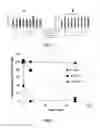 Fig. 06 - Pharmaceutical prodrugs and methods of their preparation and use