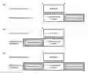 Fig. 01 - Double-stranded nucleic acid complex having overhang