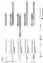 Fig. 08 - Double-stranded nucleic acid complex having overhang