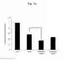 Fig. 19 - Double-stranded nucleic acid complex having overhang