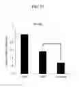 Fig. 32 - Double-stranded nucleic acid complex having overhang