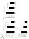 Fig. 33 - Double-stranded nucleic acid complex having overhang
