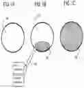 Fig. 02 - In situ forming hemostatic foam implants