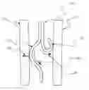 Fig. 01 - Recirculation minimizing catheter