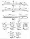 Fig. 02 - Method and apparatuses for accessing and/or modifying a target patient tissue site