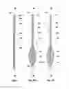 Fig. 06 - Medical microelectrode, method for its manufacture, and use thereof