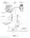 Fig. 02 - Topical neurological stimulation