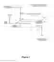 Fig. 02 - Processing quarantined materials