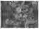 Fig. 01 - MESOPOROUS MANGANESE FERRITE FENTON-LIKE CATALYST, PREPARATION METHOD THEREFOR, AND APPLICATION THEREOF