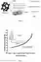 Fig. 02 - MESOPOROUS MANGANESE FERRITE FENTON-LIKE CATALYST, PREPARATION METHOD THEREFOR, AND APPLICATION THEREOF