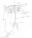 Fig. 01 - OSCILLATING TOOL DRYWALL BLADE