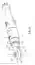 Fig. 09 - Pneumatic ratchet wrench and outer shell thereof