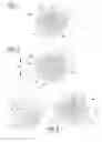 Fig. 04 - Male mould element
