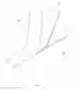 Fig. 02 - WATERPROOF DECORATIVE STRIP